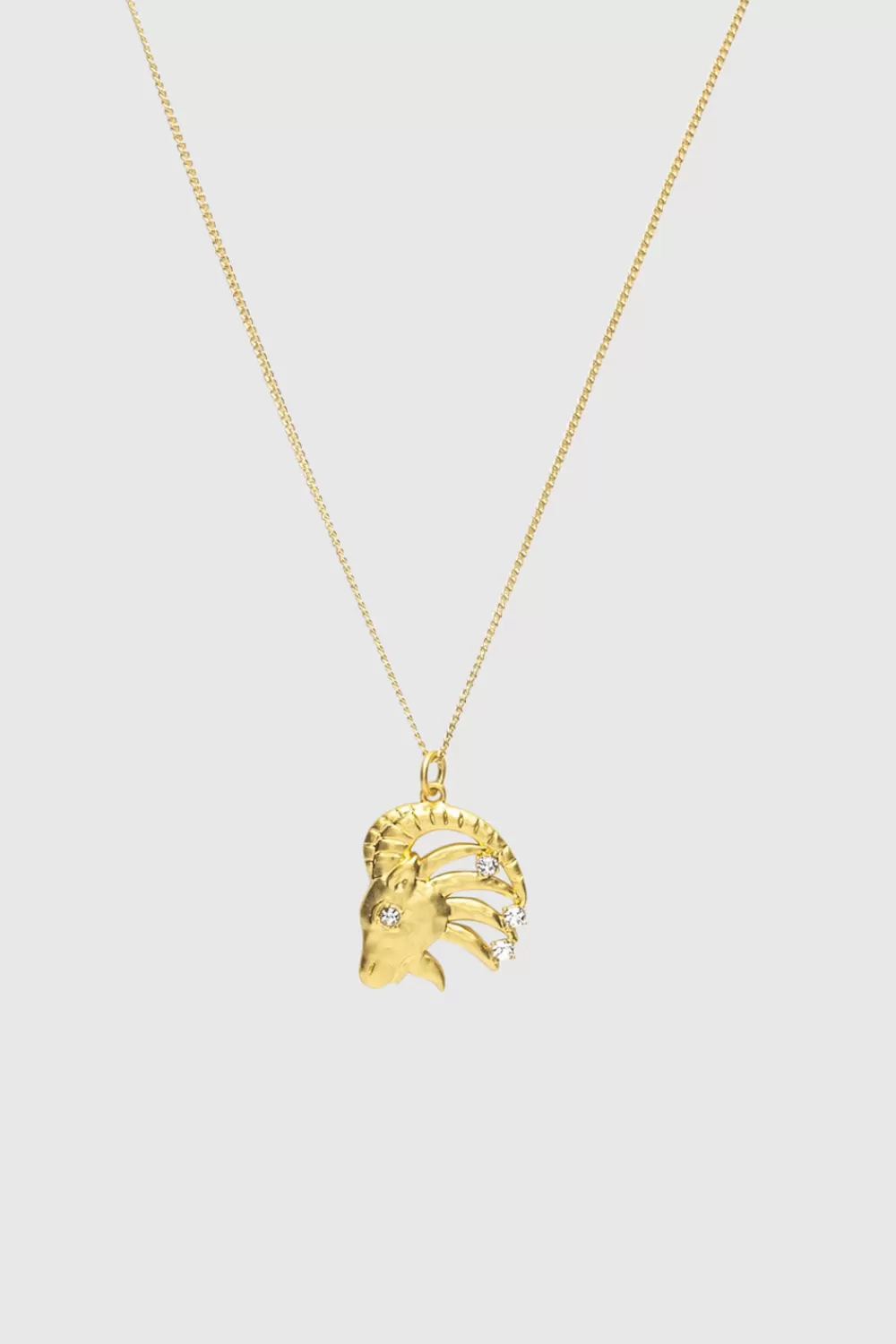 Flash Sale Rebecca Minkoff Capricorn Zodiac Medallion Necklace